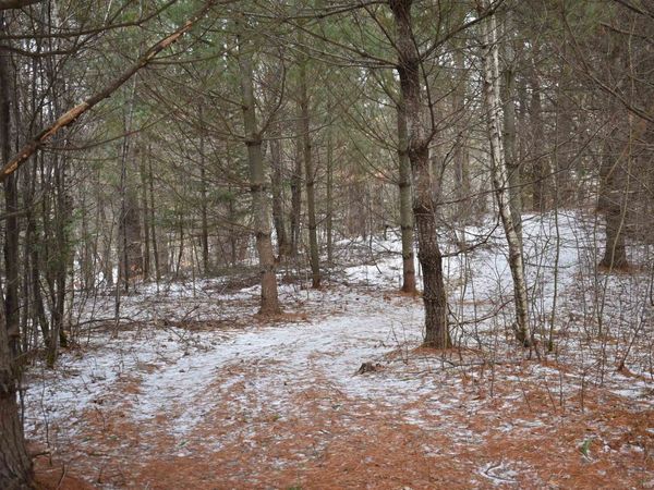 rt 58 East, Lowell, VT 05847