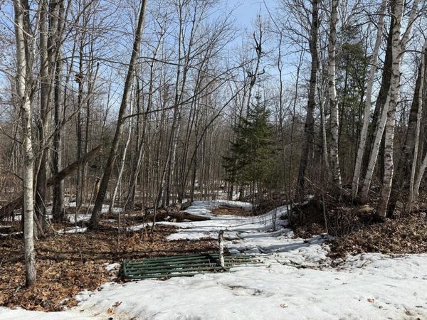 Lot 7 Block 1 Yellow Birch Ln , Emily, MN 56447