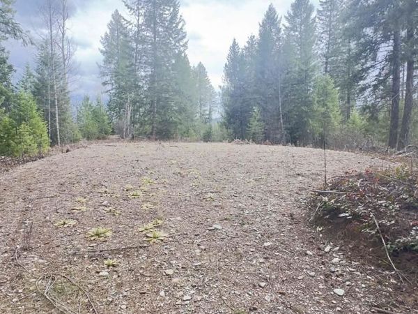 NKN Wilderness Ave, Ione, WA 99139