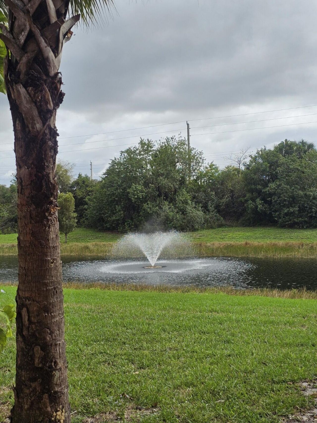 1063 Golden Lakes Boulevard, Unit 311, West Palm Beach, FL 33411 Photo