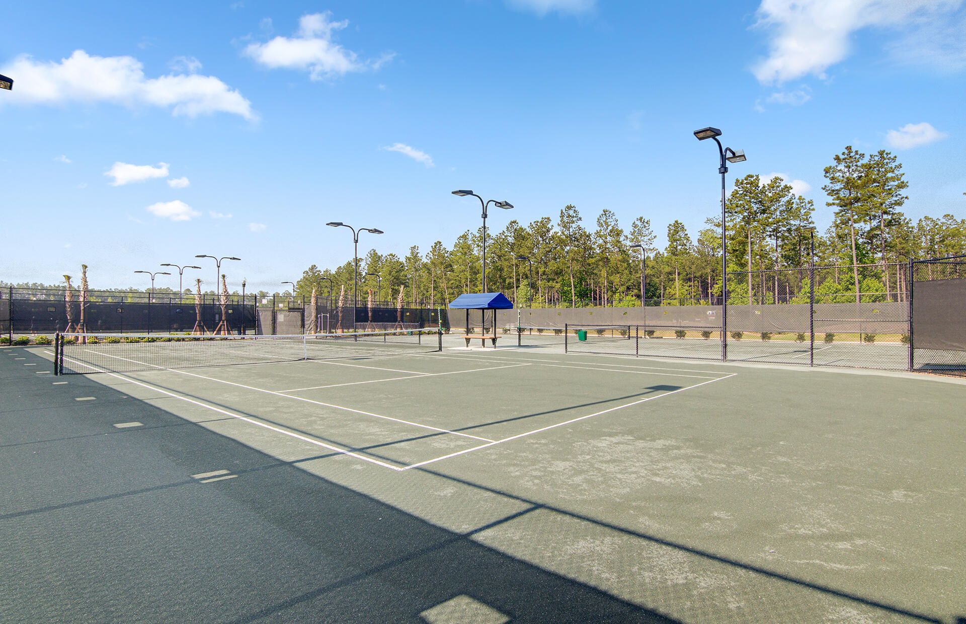 363 Tupelo Lake Drive Photo 131