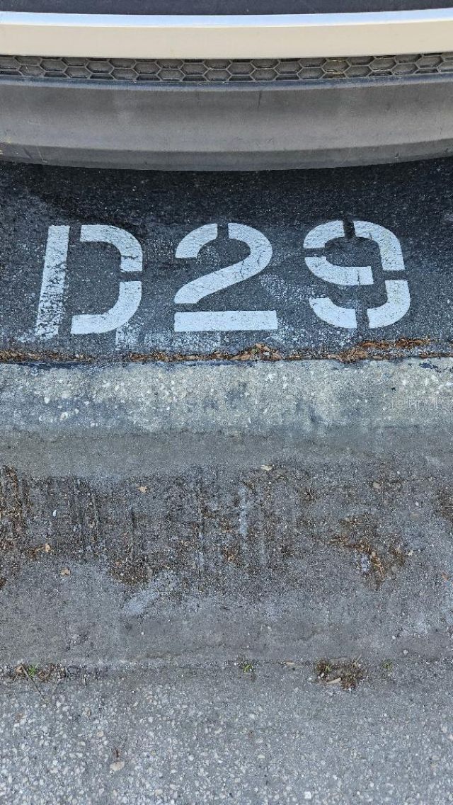 4600 98th Way N, Unit 210, Saint Petersburg, FL 33708 Photo