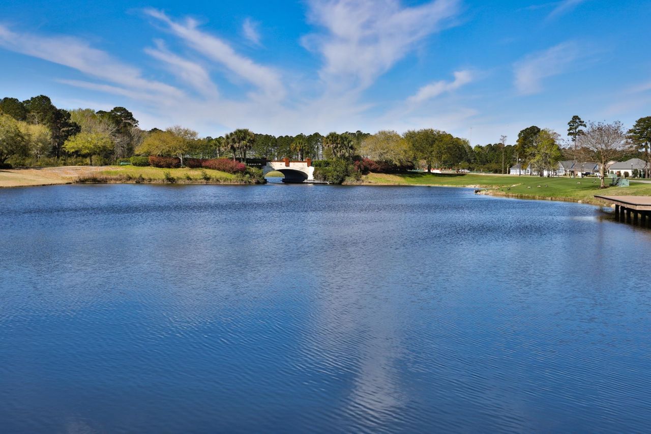 1004 Black Skimmer Dr. Photo 45