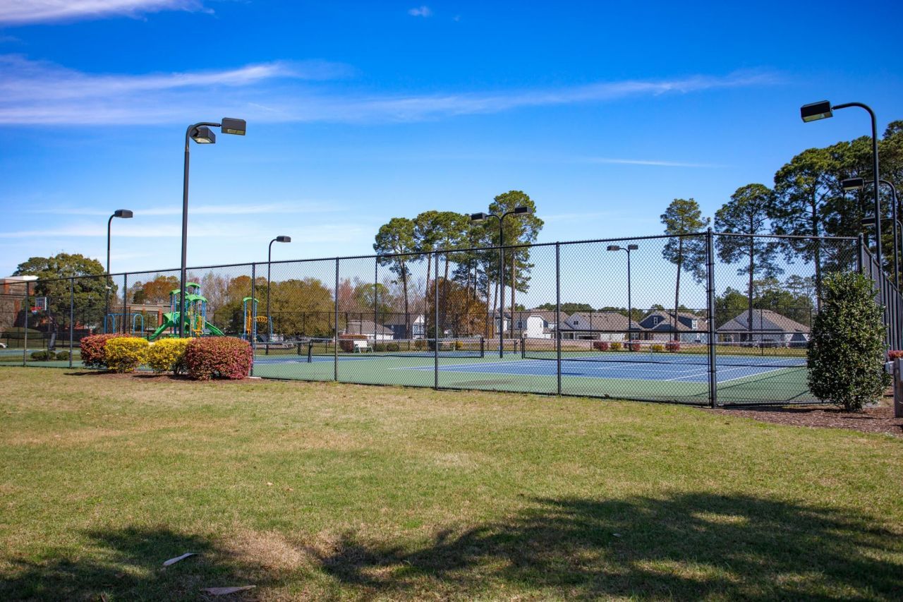 1004 Black Skimmer Dr. Photo 50