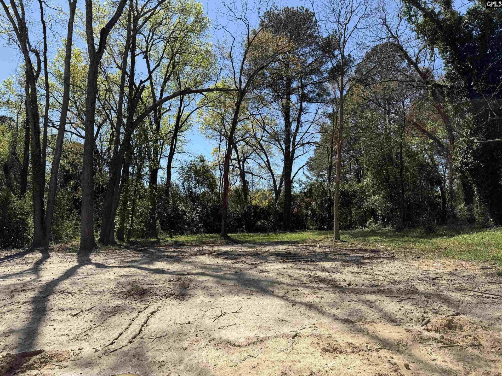 2428 Chappelle Street Photo 13