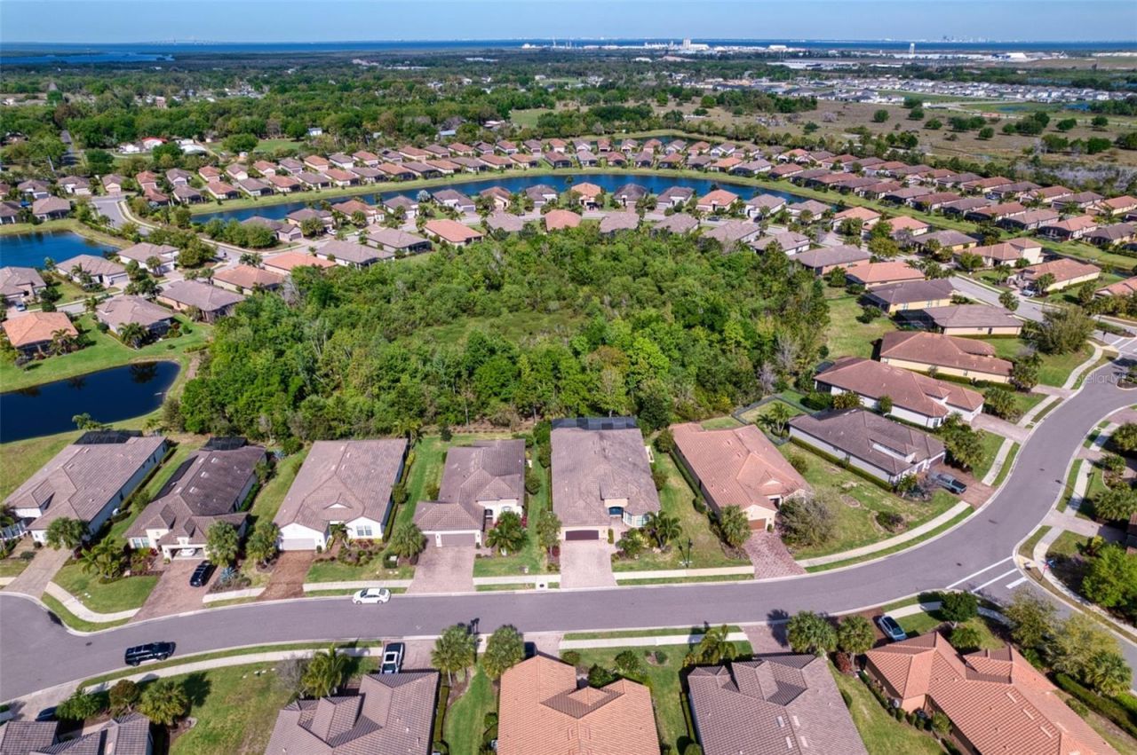 10107 Wicker Park Place , Palmetto, FL 34221 Photo