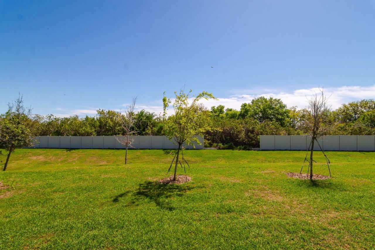 350 Mangrove Shade Circle , Apollo Beach, FL 33572 Photo