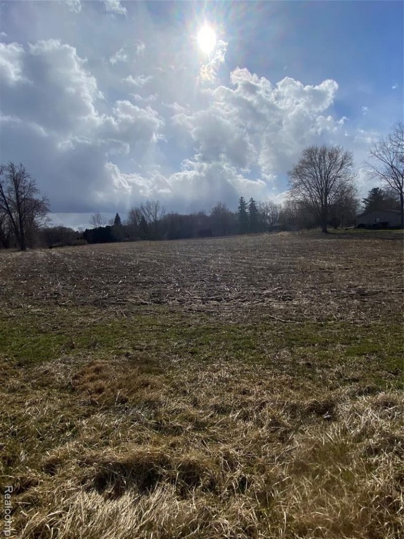 7036 Rea Lane, Almont Township, MI 48003 Main Photo