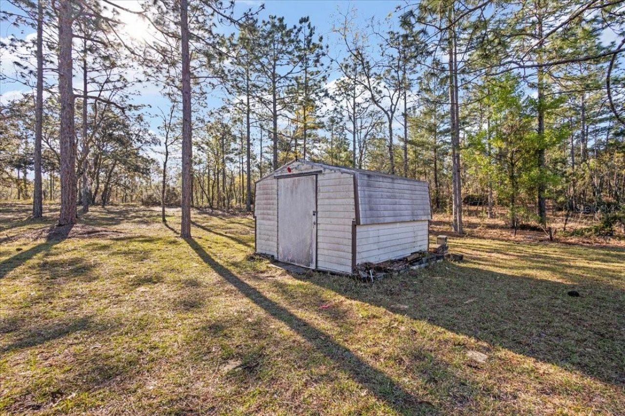 14430 E Levy Street , Williston, FL 32696 Photo