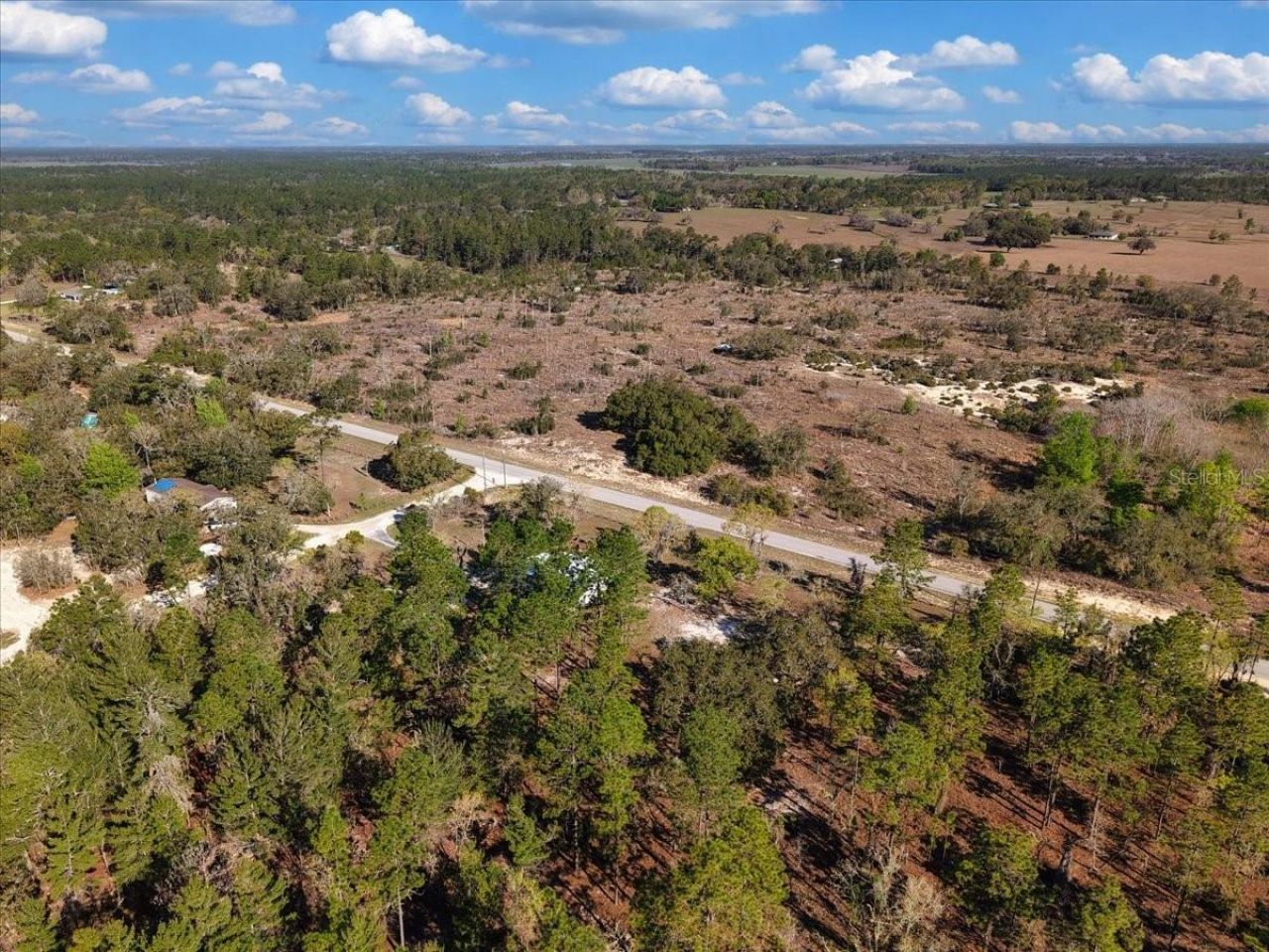 14430 E Levy Street , Williston, FL 32696 Photo