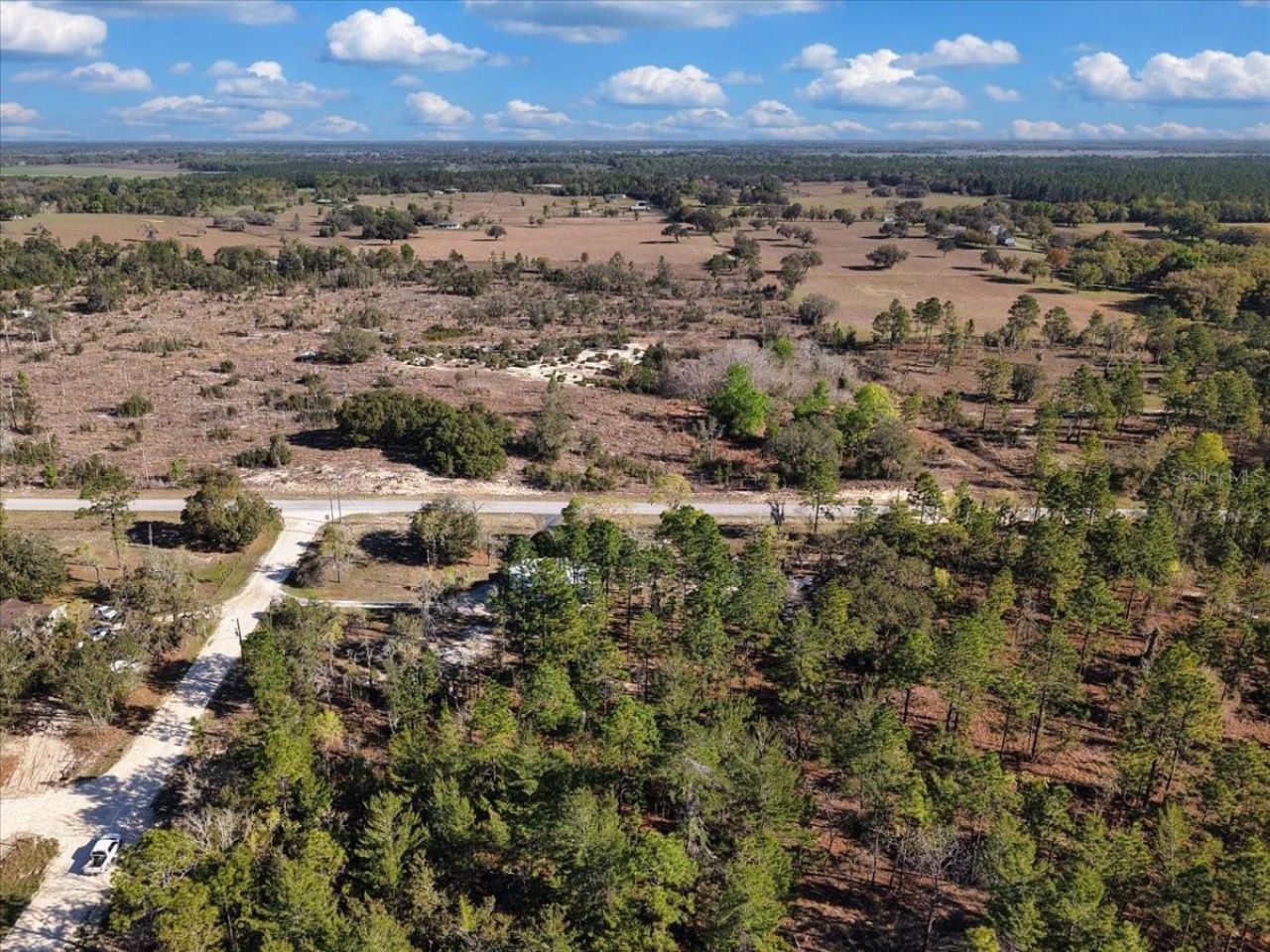 14430 E Levy Street , Williston, FL 32696 Photo