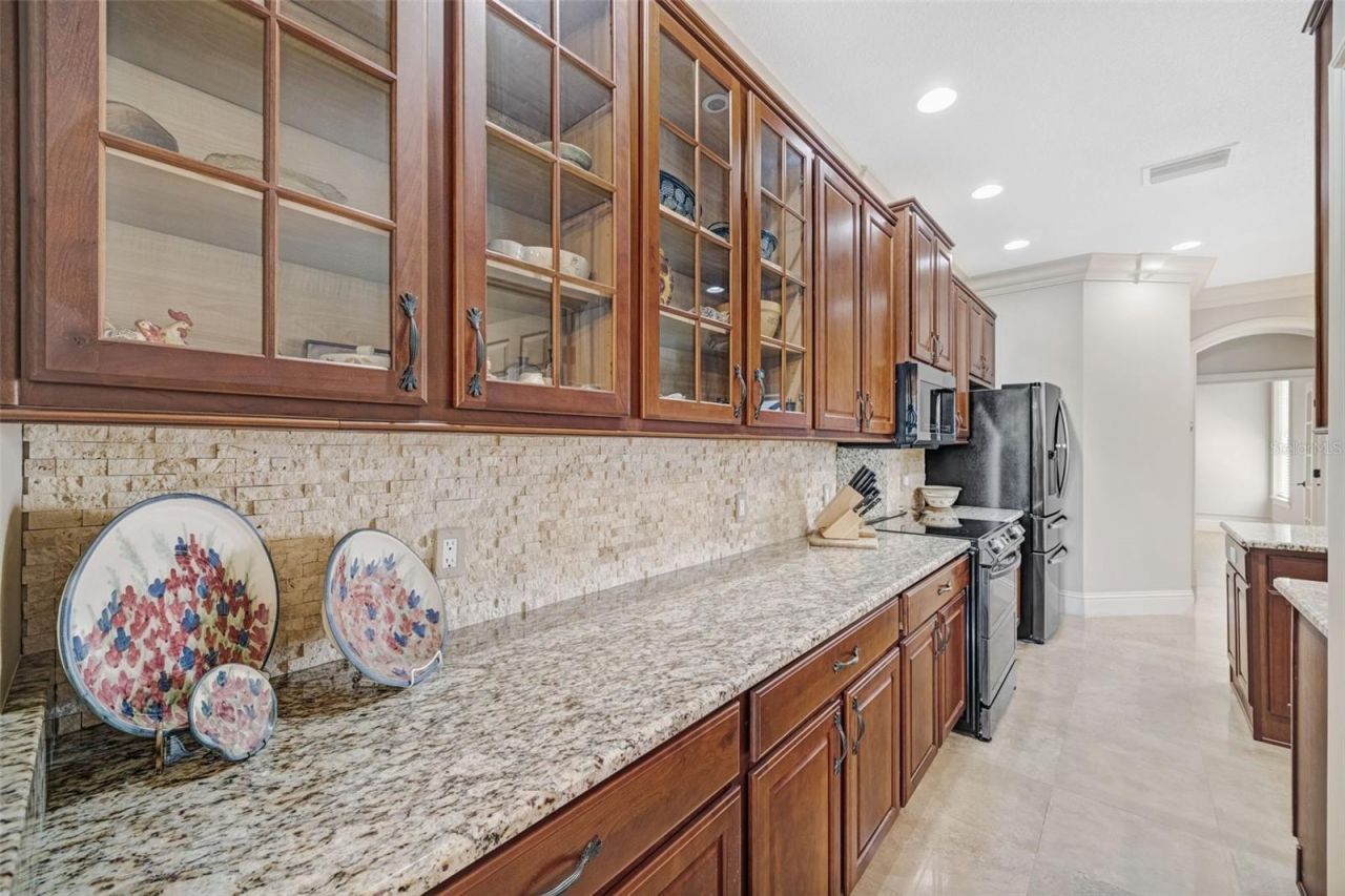 2817 Rolling Acres Place, Valrico, FL 33596 Photo