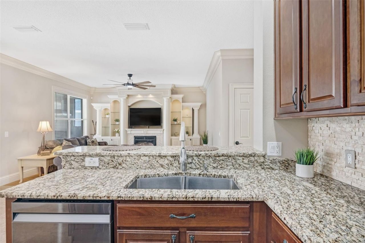 2817 Rolling Acres Place, Valrico, FL 33596 Photo