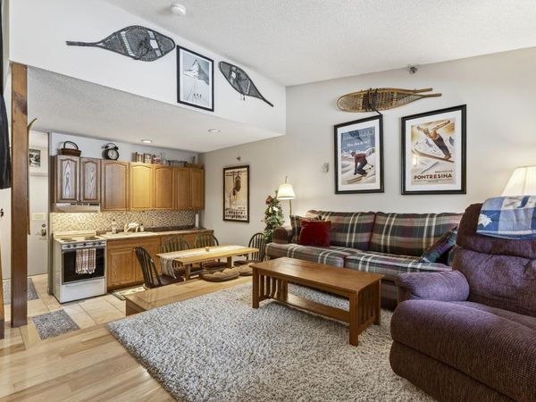 8 Fall Line Drive, Unit N-208, Newry, ME 04261