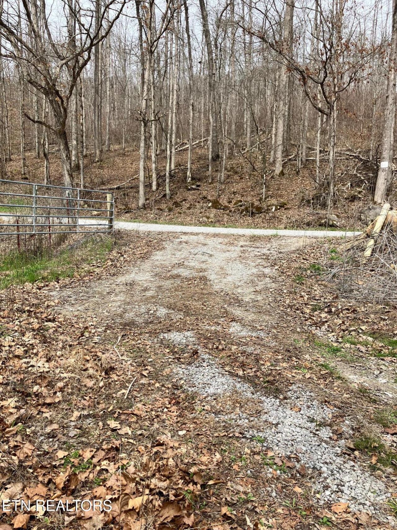 4913 Snake Hollow Rd, Sneedville, TN 37869 Main Photo