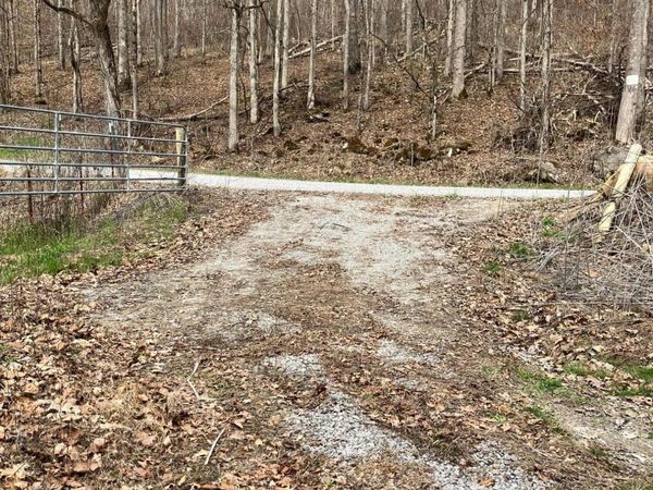 4913 Snake Hollow Rd, Sneedville, TN 37869