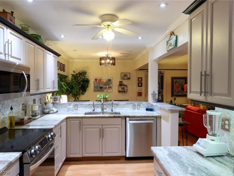 7157 Lochness Drive, Concord, OH 44077 Photo 9