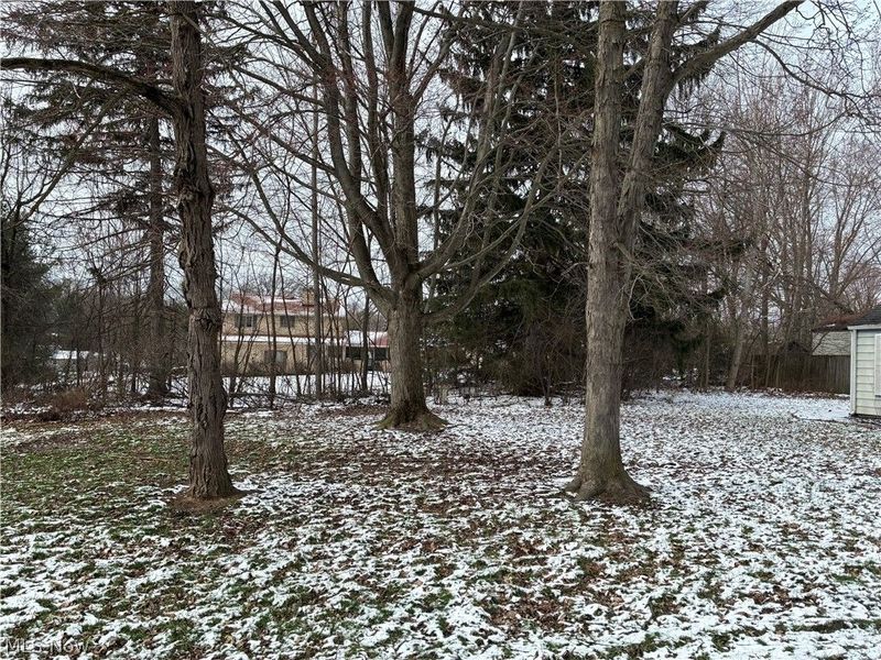 1436 Clinton Street, Niles, OH 44446 Photo 12