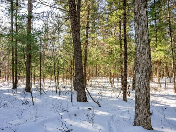 3.2 acres County Road C, New Lisbon, WI 53950