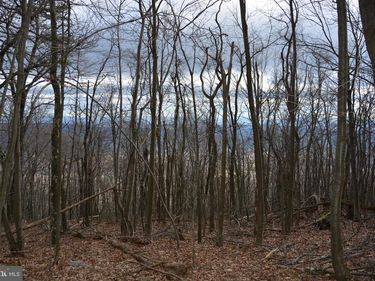 ROCKWOOD TRAIL , Unit 49.61 ACRE, WINCHESTER, VA 22602