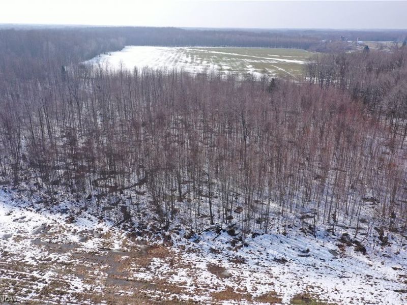 Adams Road, Kingsville, OH 44048 Photo 3