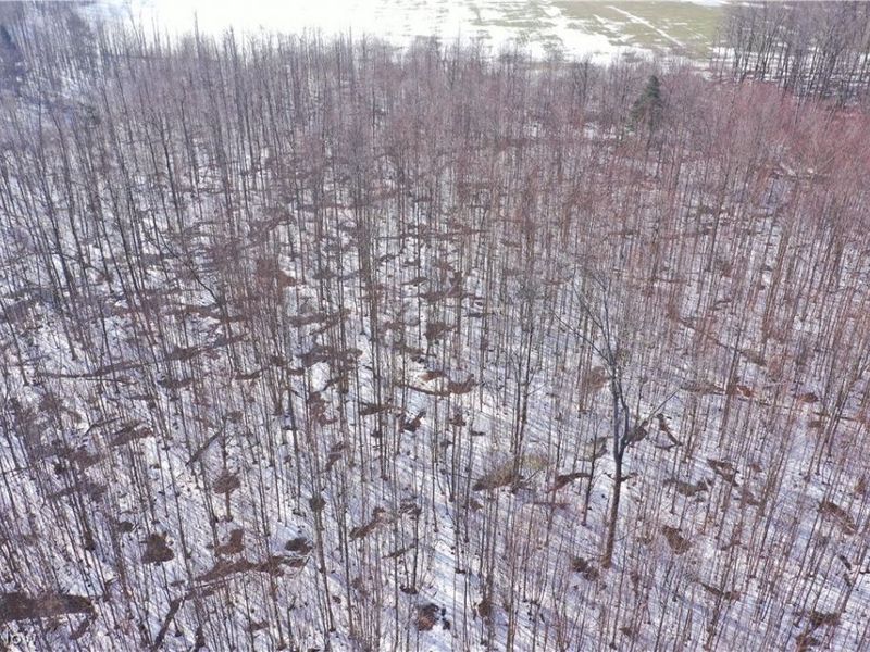 Adams Road, Kingsville, OH 44048 Photo 4