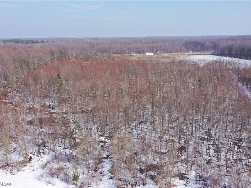 Adams Road, Kingsville, OH 44048 Photo 5