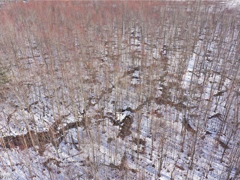 Adams Road, Kingsville, OH 44048 Photo 6