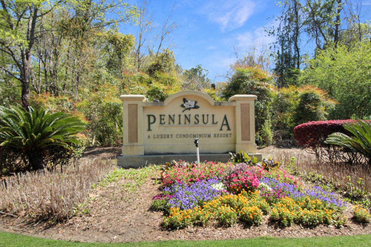 700 Daniel Ellis Drive Photo 22