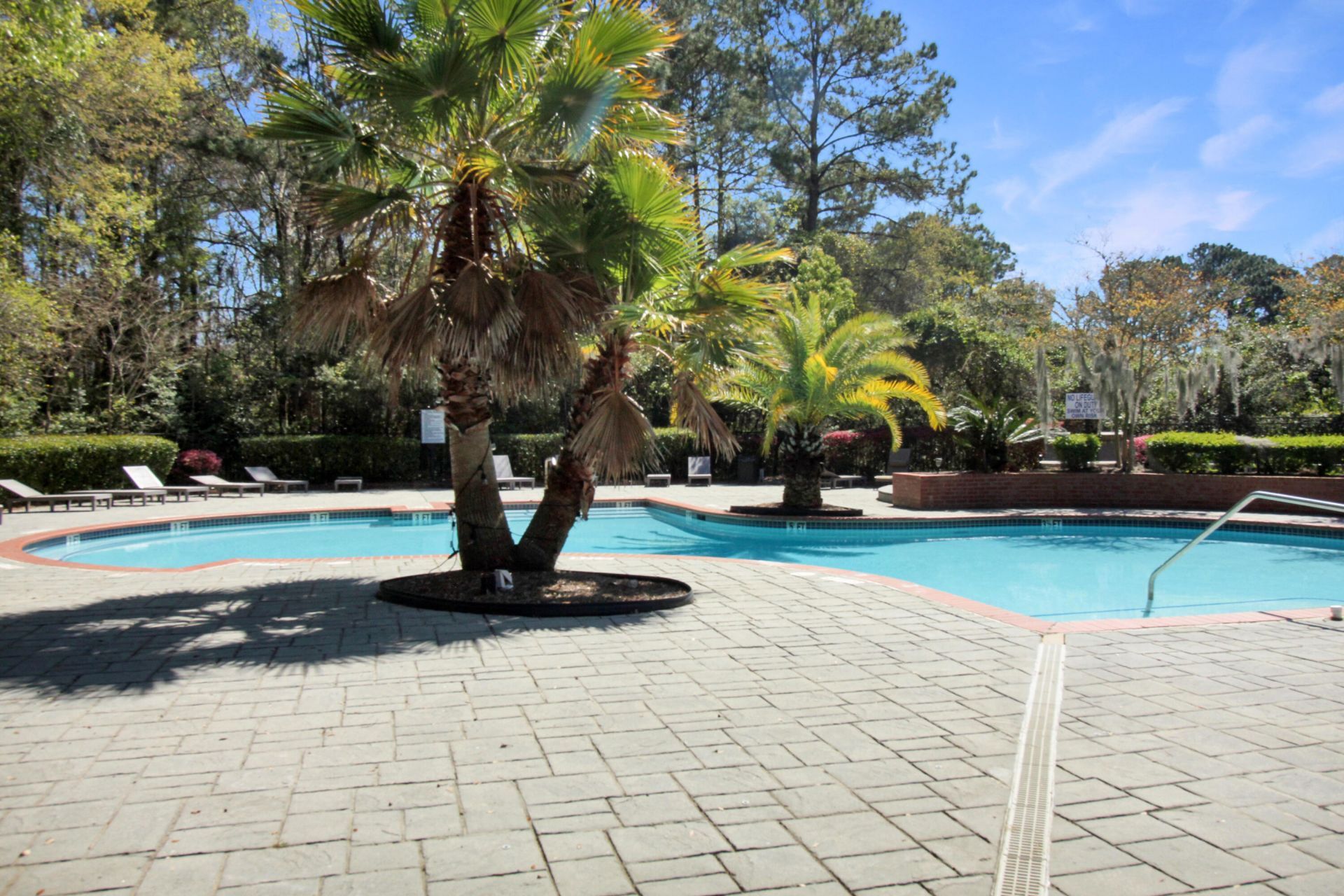 700 Daniel Ellis Drive Photo 23