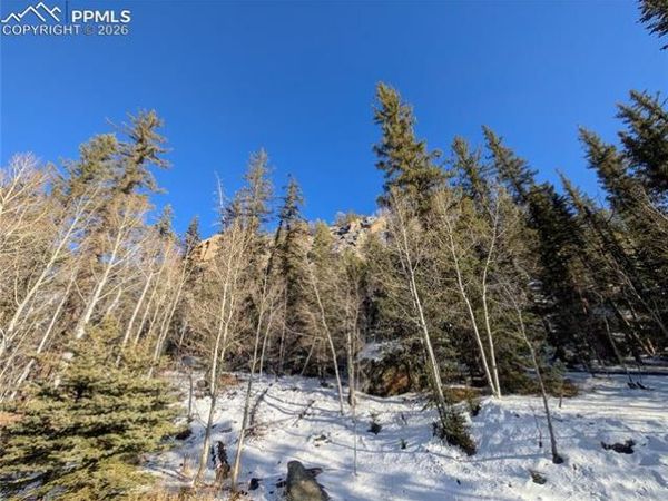 386 Brook Drive, Lake George, CO 80827