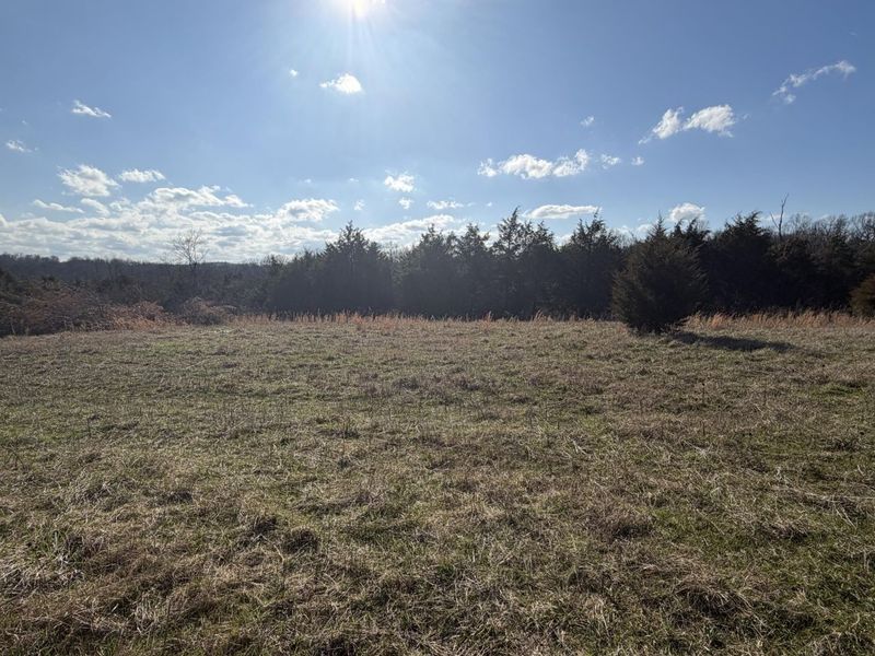 00 Scaggs Drive, Falmouth, KY 41040 Photo 2