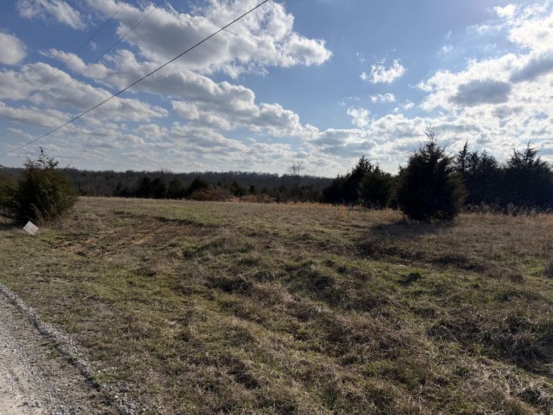 00 Scaggs Drive, Falmouth, KY 41040 Photo 3