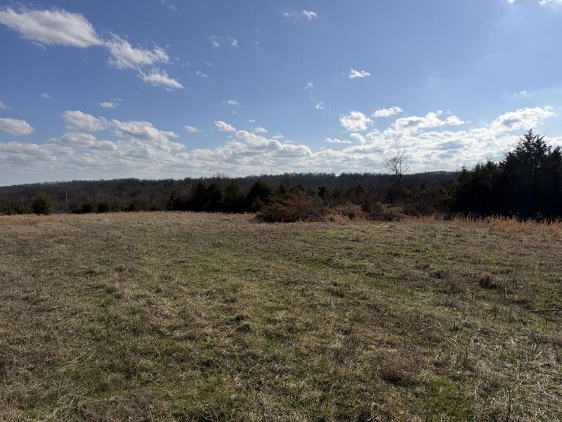 00 Scaggs Drive, Falmouth, KY 41040 Photo 4