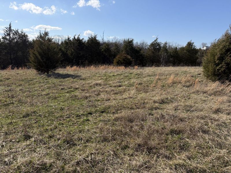 00 Scaggs Drive, Falmouth, KY 41040 Photo 5