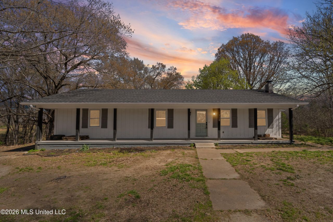 718 Flag Lake Road, Sarah, MS 38665 Main Photo