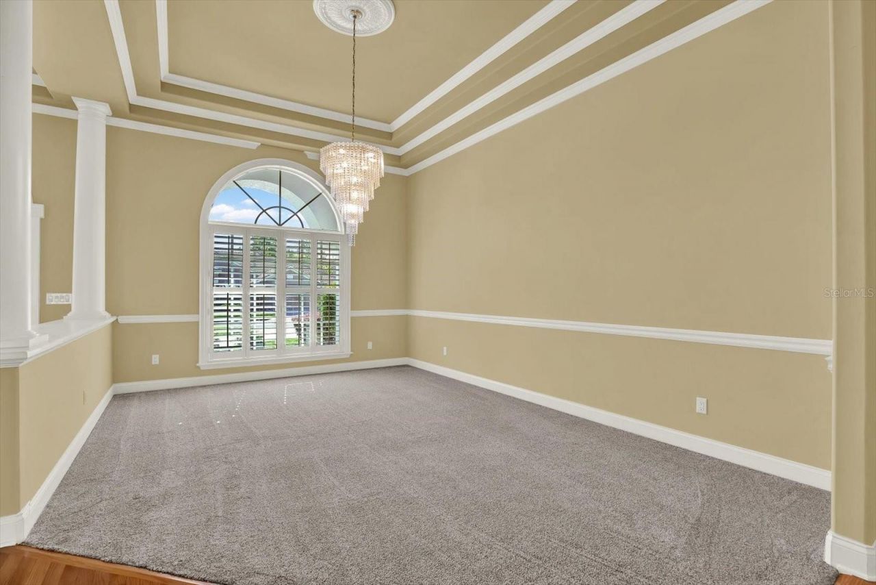 5643 White Ibis Lane, Land O Lakes, FL 34638 Photo