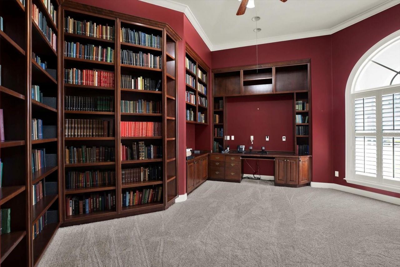 5643 White Ibis Lane, Land O Lakes, FL 34638 Photo