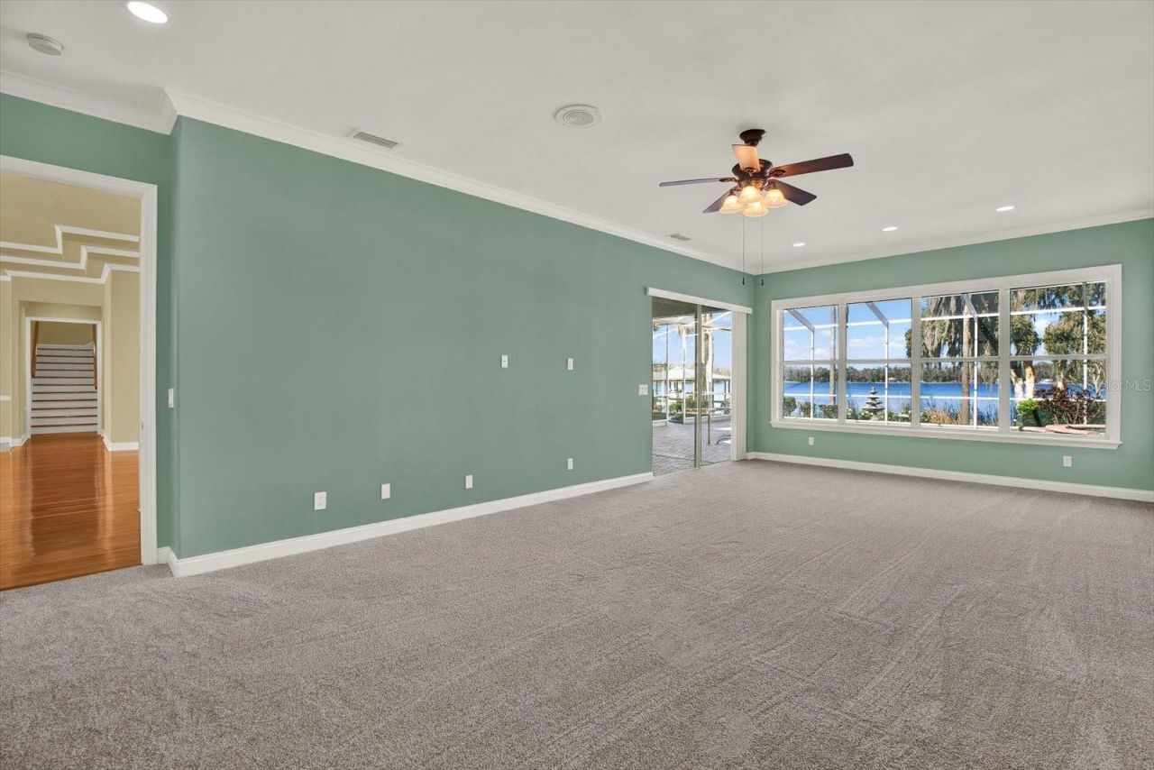5643 White Ibis Lane, Land O Lakes, FL 34638 Photo