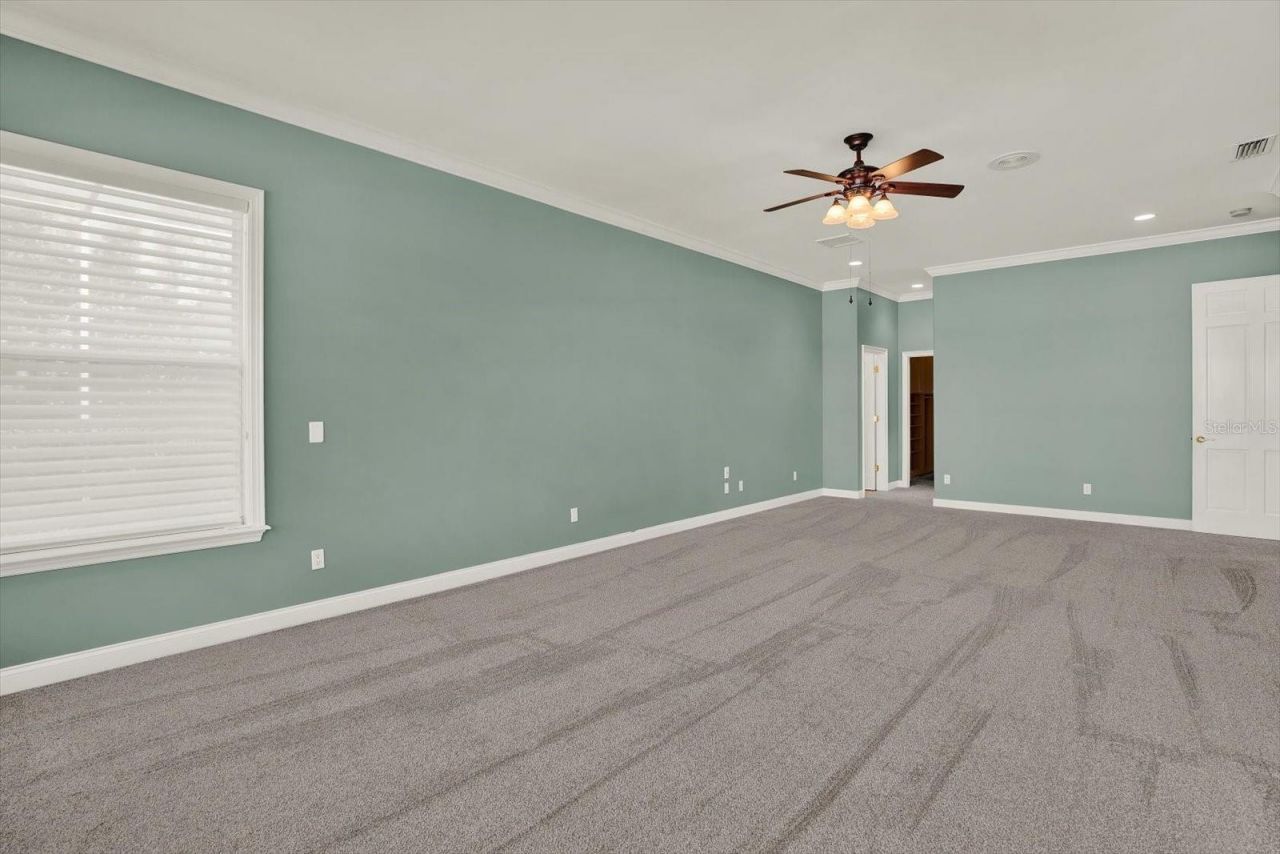 5643 White Ibis Lane, Land O Lakes, FL 34638 Photo