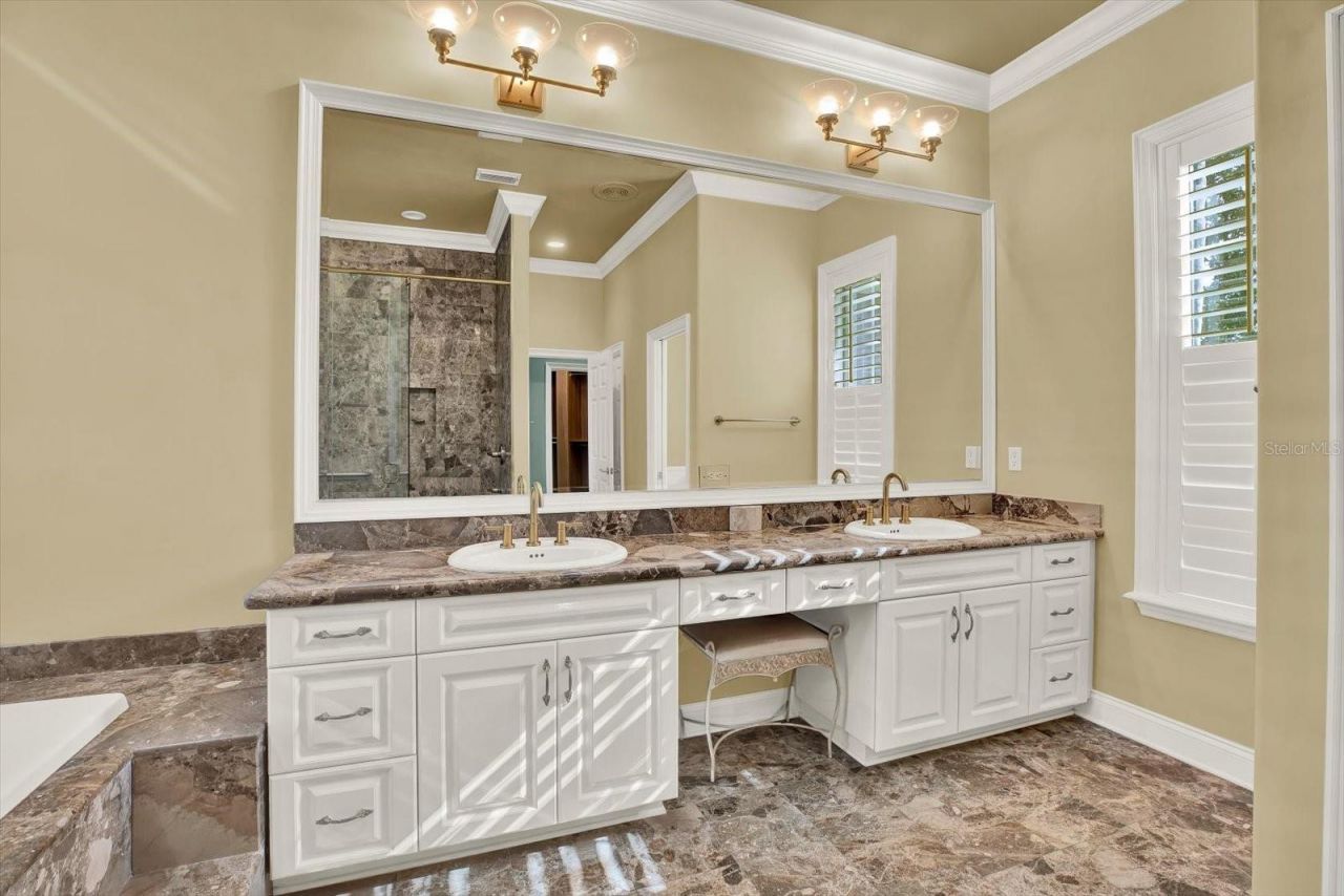 5643 White Ibis Lane, Land O Lakes, FL 34638 Photo