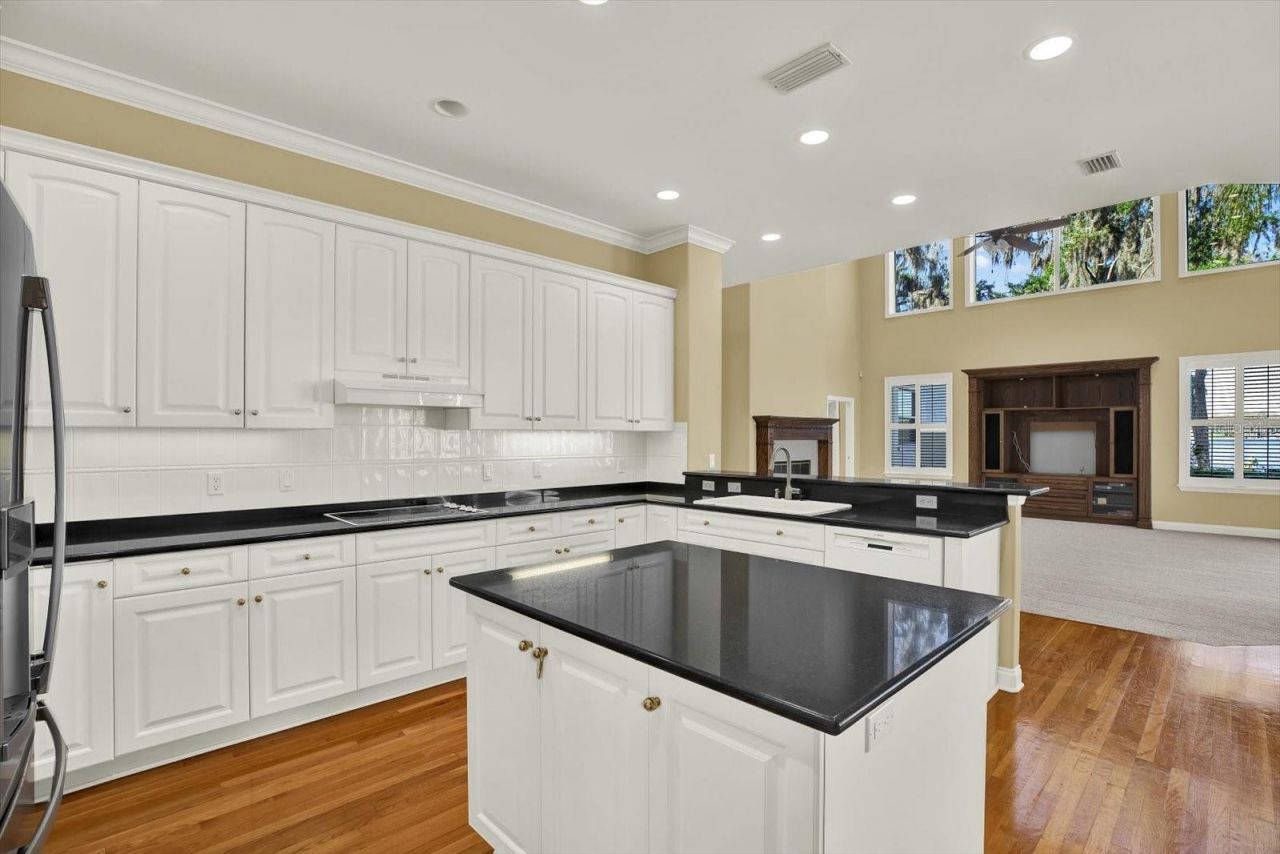 5643 White Ibis Lane, Land O Lakes, FL 34638 Photo