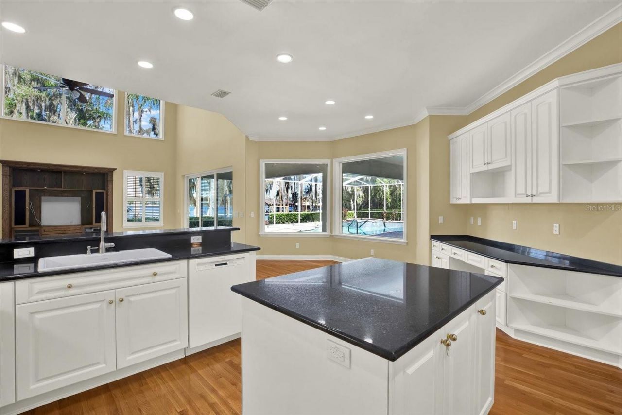 5643 White Ibis Lane, Land O Lakes, FL 34638 Photo