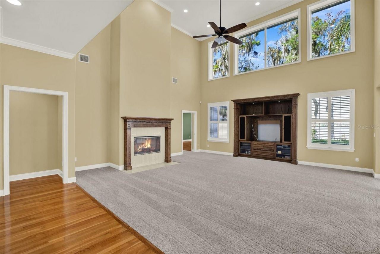 5643 White Ibis Lane, Land O Lakes, FL 34638 Photo