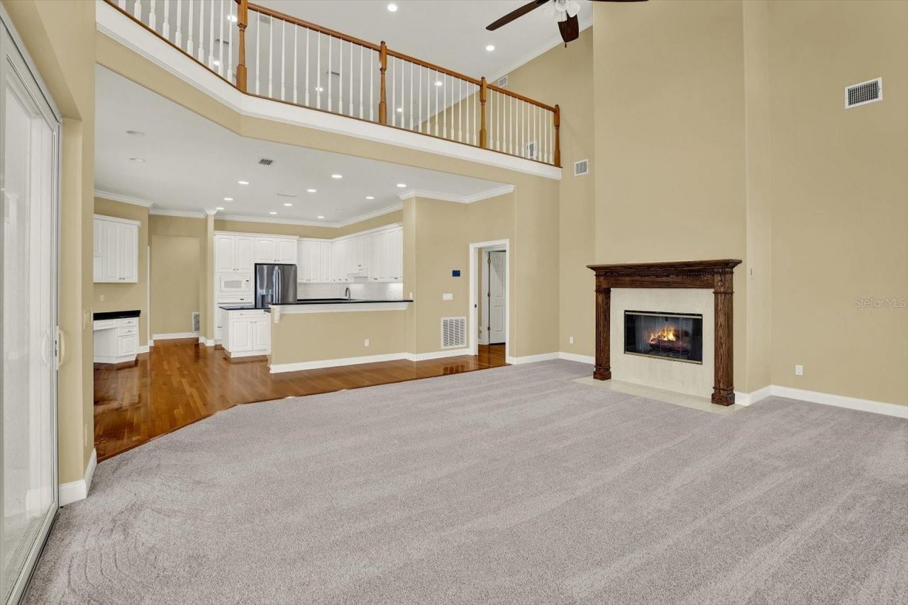 5643 White Ibis Lane, Land O Lakes, FL 34638 Photo