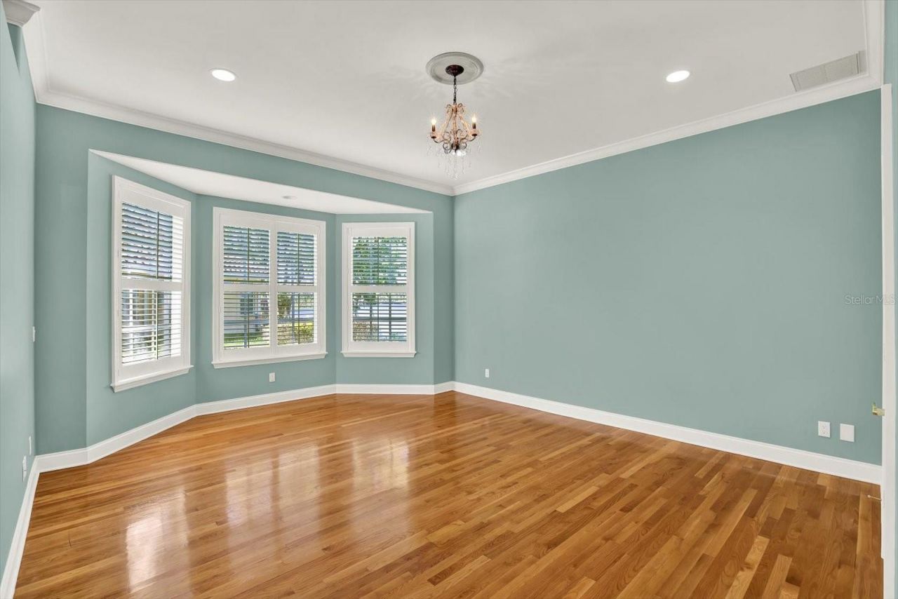 5643 White Ibis Lane, Land O Lakes, FL 34638 Photo