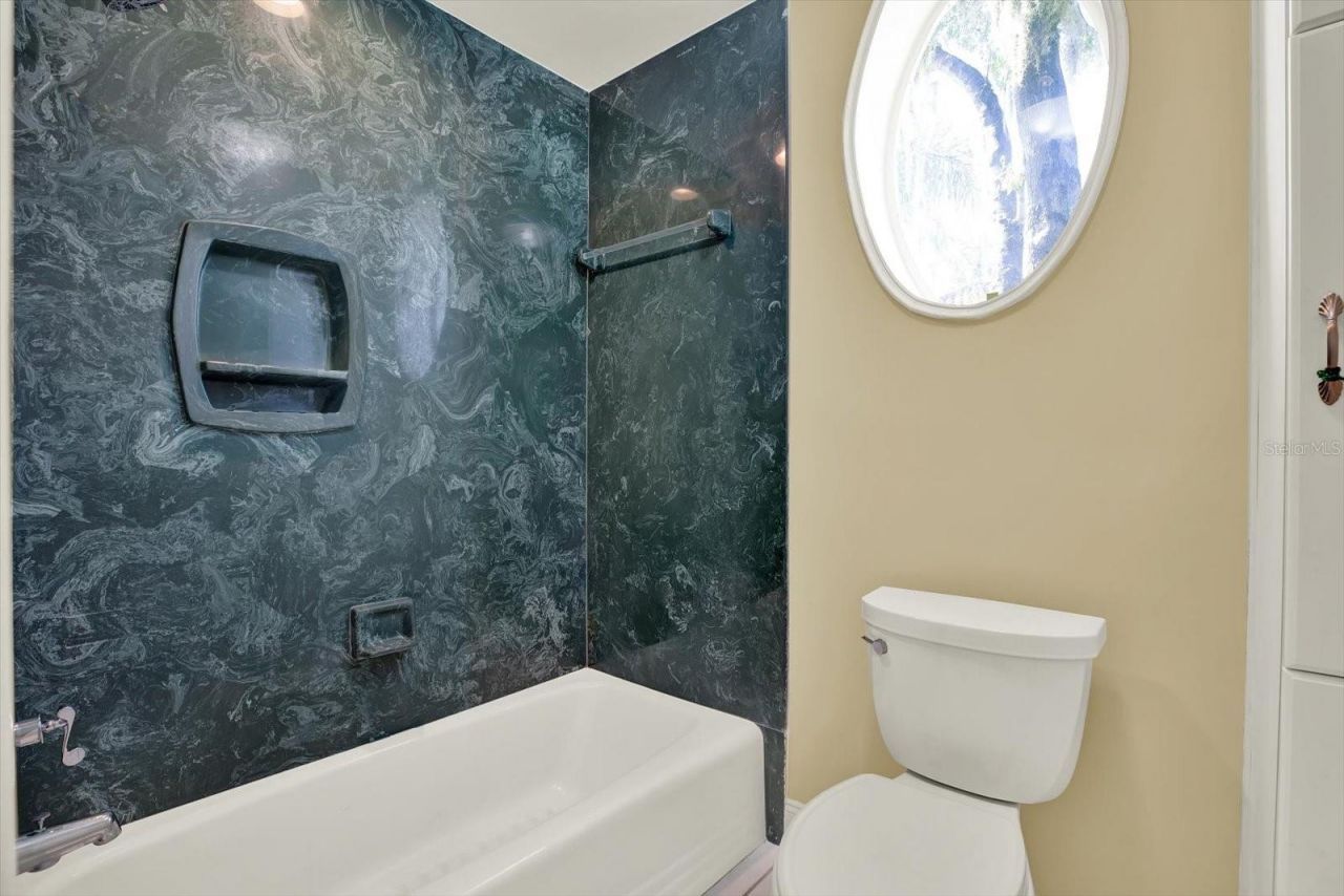 5643 White Ibis Lane, Land O Lakes, FL 34638 Photo