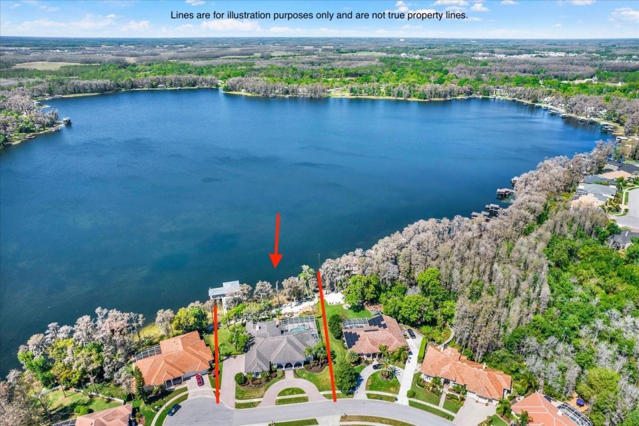 5643 White Ibis Lane, Land O Lakes, FL 34638 Photo
