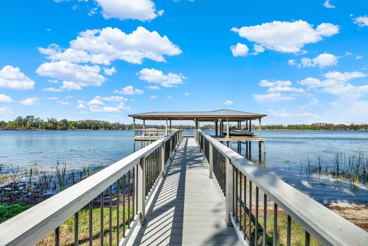 5643 White Ibis Lane, Land O Lakes, FL 34638 Photo