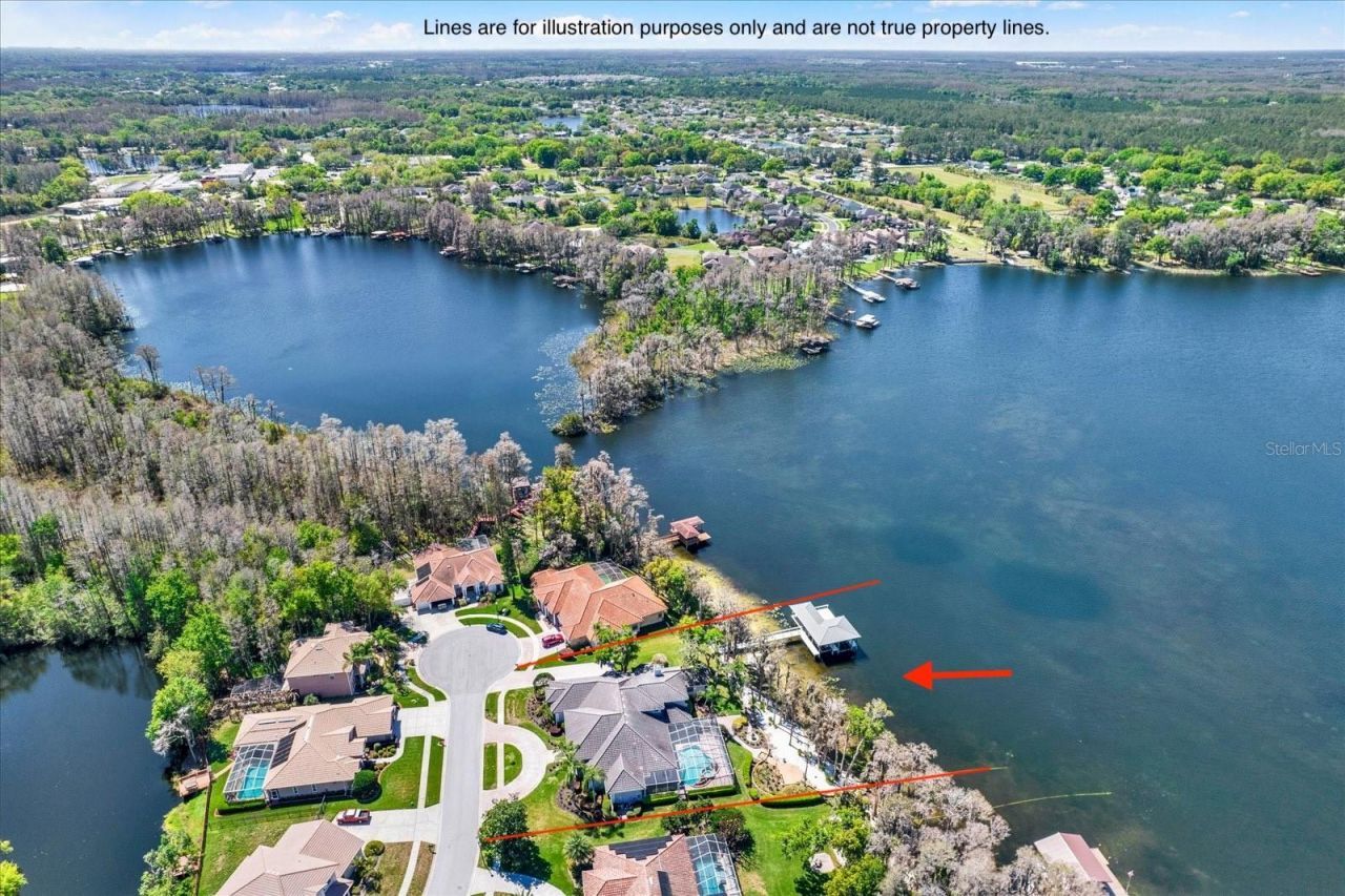 5643 White Ibis Lane, Land O Lakes, FL 34638 Photo